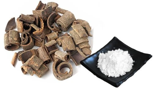 Magnolia Extract Powder