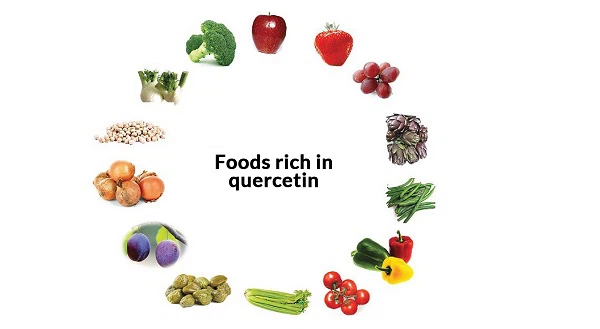 quercetin source quercetin source