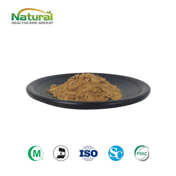 תמצית עלי גינקו