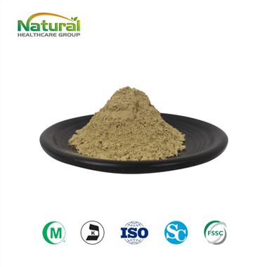 אבקת שורש יוקה